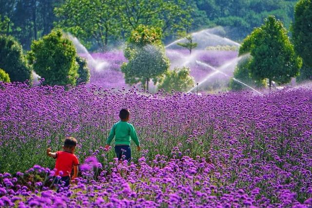 最美腾冲四月天，踏青景色尽芳菲