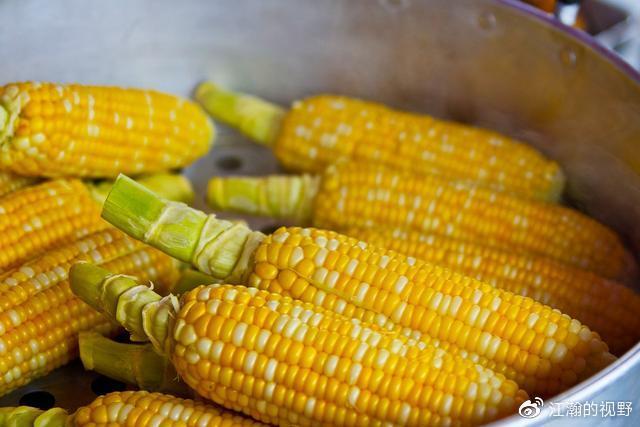 储备玉米被曝存质量问题？为啥粮食储备对于国家那么重要？
