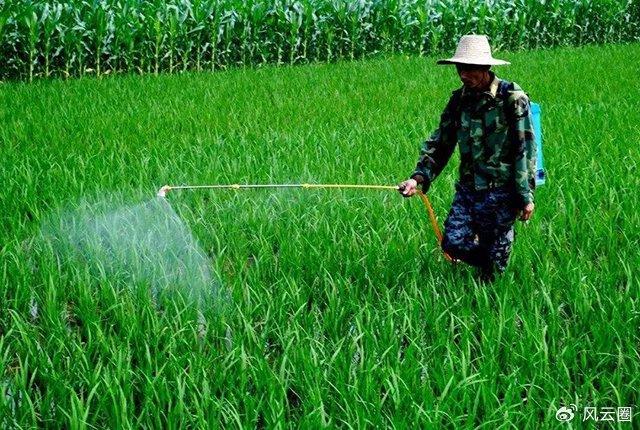 农药除草剂_除草剂农药使用方法_农药除草剂有毒吗