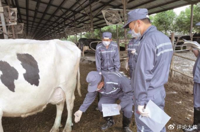 牛奶排行榜10强_“2023年全球乳业20强”榜单公布伊利稳居世界五强
