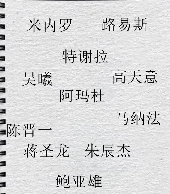 2025超级杯前瞻 申花祭出米神米内罗跟路易斯的阵容 怎么看都稳