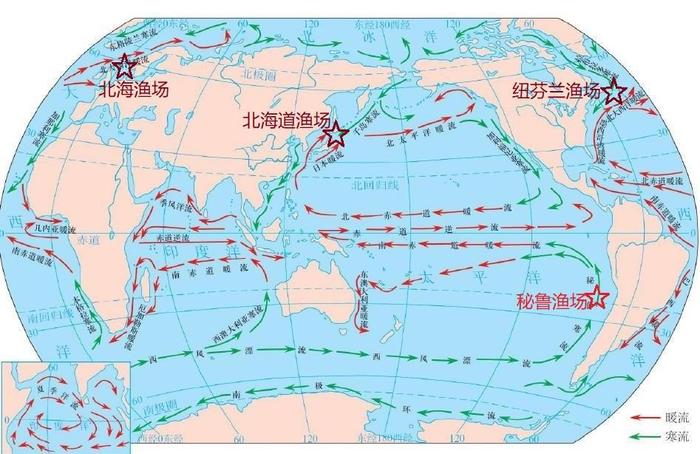 世界著名的“四大渔场”分布在哪儿？它们的形成原因是什么？