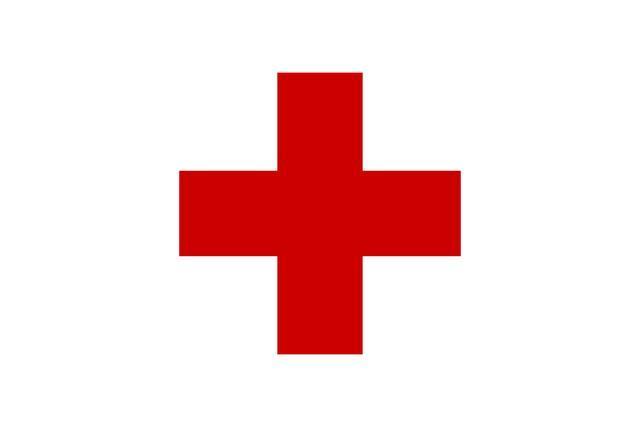 这2面旗帜，与红十字会旗帜很相似，其中1组织有100多个邦交国