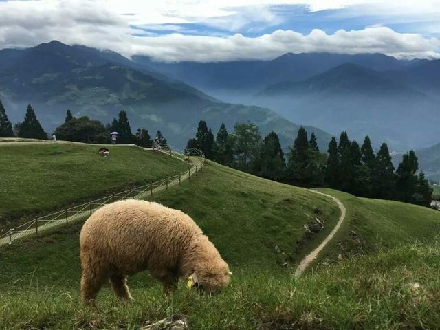 台湾三大经典休闲农场，各个都有自己的绝活