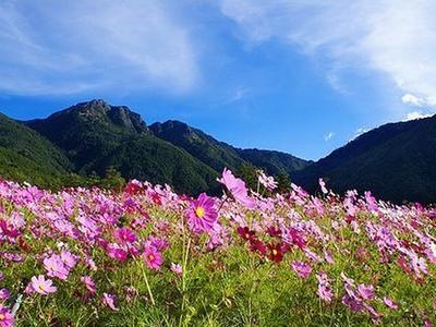 台湾三大经典休闲农场，各个都有自己的绝活