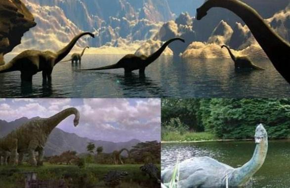 非洲大陆的神秘恐龙，刚果恐龙真的存在吗？真相又是如何
