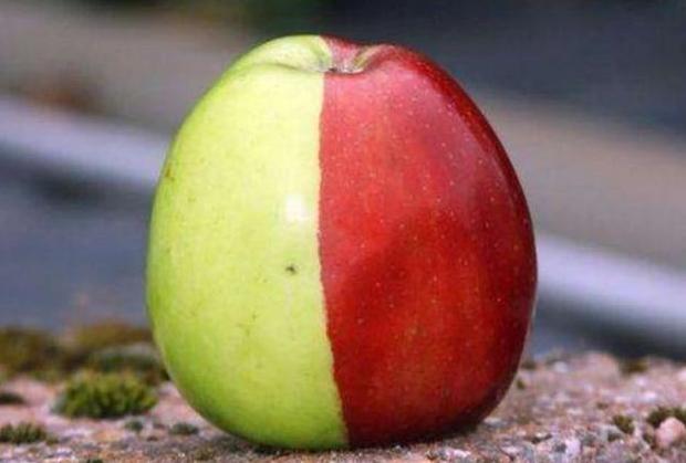 心理测试：第一眼你觉得哪个苹果有毒？一秒测出你智商的高低！