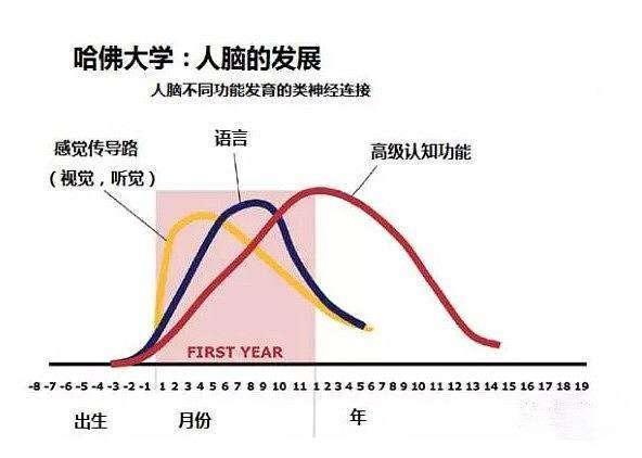 哈佛研究表明：儿童大脑发育的3次“高峰期”，父母要知道