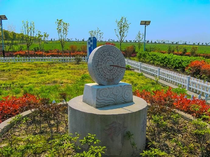 走进油菜花盛开的“湖中之岛”，上海淀山湖畔最美乡村蔡浜村