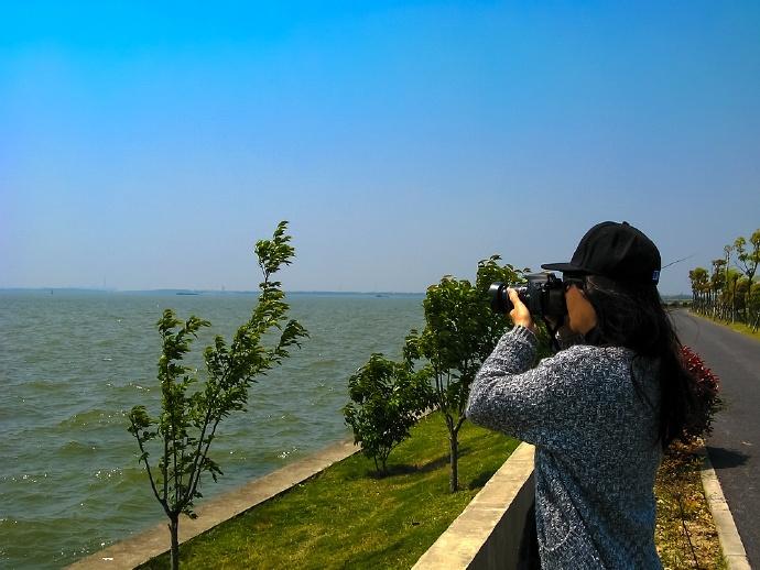 走进油菜花盛开的“湖中之岛”，上海淀山湖畔最美乡村蔡浜村