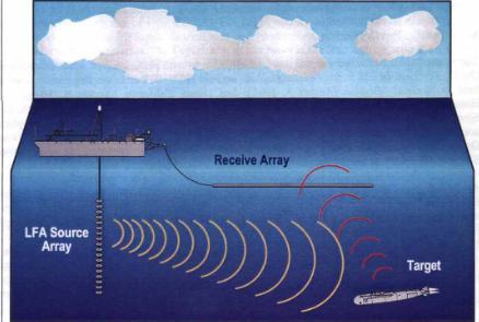 美军舰闯入南部海域，无视反对启动危险设备，大批海洋生物死亡