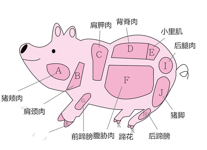 里肌、梅花、排骨、松坂猪，图解11种猪肉部位、秒懂怎么挑怎么煮