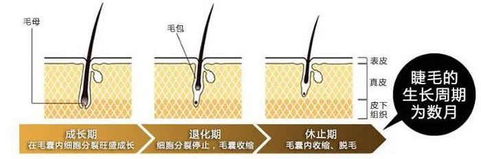 乔欣居然推荐用了会变瞎的睫毛增长液？