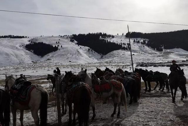 新疆有首民歌中就唱道：“骑马要骑伊犁马”