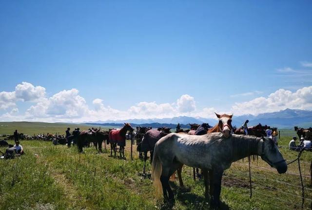 新疆有首民歌中就唱道：“骑马要骑伊犁马”