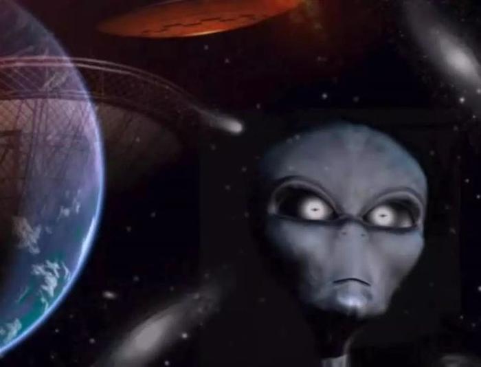 美国海滩出现奇怪生物，疑是来自外星？科学家出来辟谣