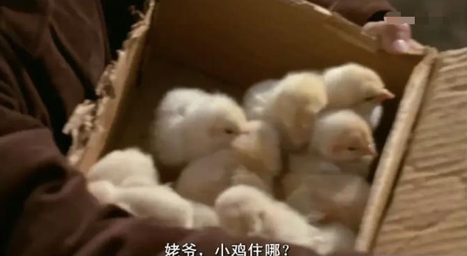 《活着》：9.2分给低了，越看越有味道的电影，看到最后泪崩了