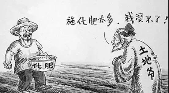 注意，这么施肥“钱就白花了”！