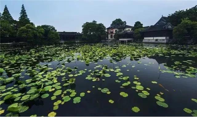 浙江这座低调古镇，没有丽江西塘闻名，却能让人一见倾心