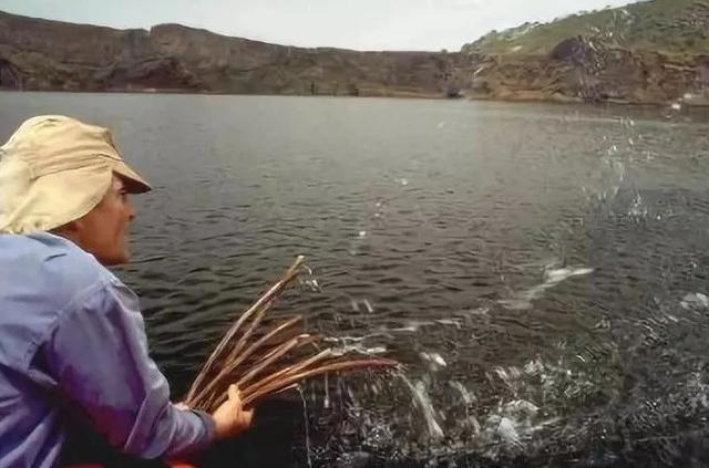 揭秘非洲“杀人湖”，一夜夺走2000条人命，最终被专家查出凶手