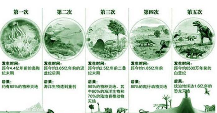 恐龙其实是幸运儿，它们历经了两次生物毁灭期