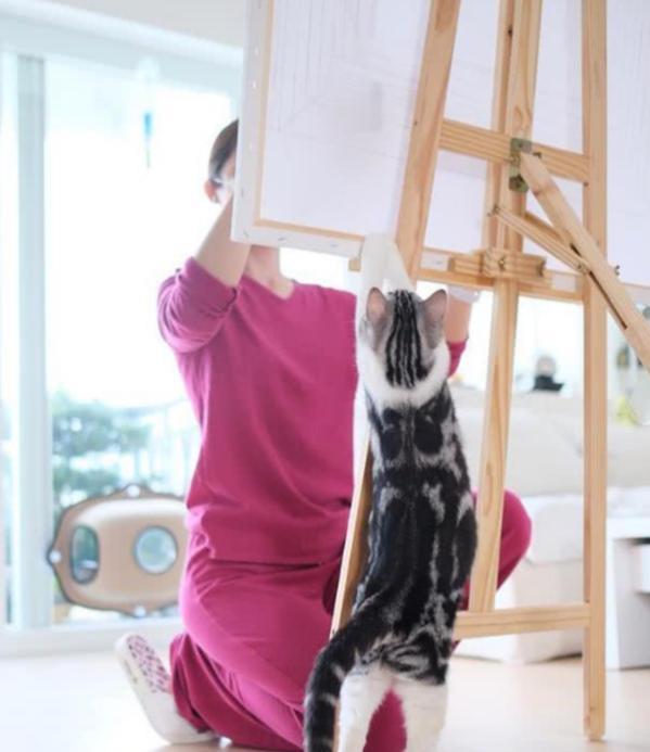 阿sa居家隔离生活有情趣，画画撸猫好惬意，穿玫红睡衣够接地气