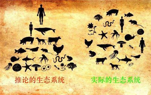 人类是食物链顶端的生物？科学家曾提到一动物，差点吃光人类祖先