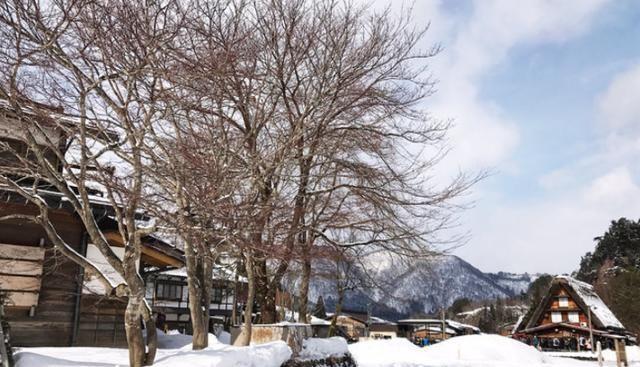 日本最美传统乡村，114栋茅草屋闻名世界，被定为世界遗产