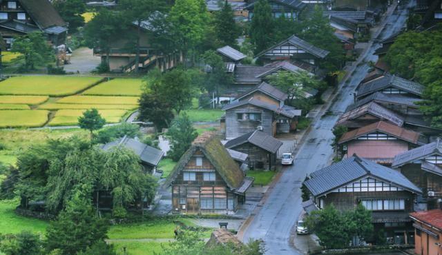 日本最美传统乡村，114栋茅草屋闻名世界，被定为世界遗产