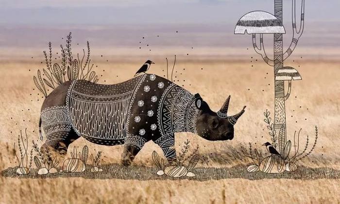 印度艺术家为动物设计服装：犀牛秒变小公主，酋长狮子最帅气