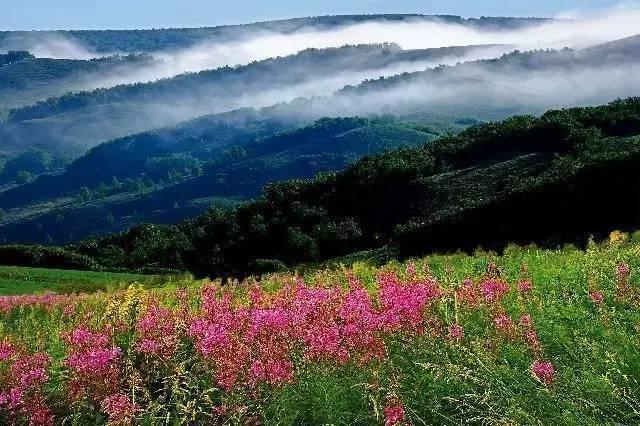 阿尔山不是山，是一个美丽纯净小城，却美过任何一座山