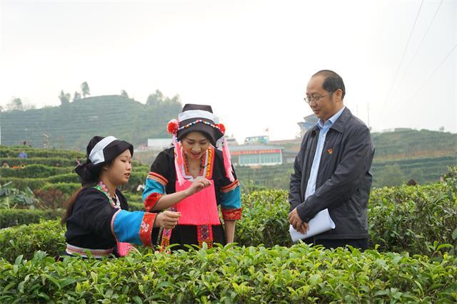 开山新茶敬送广西援鄂医疗队 复工复产助脱贫