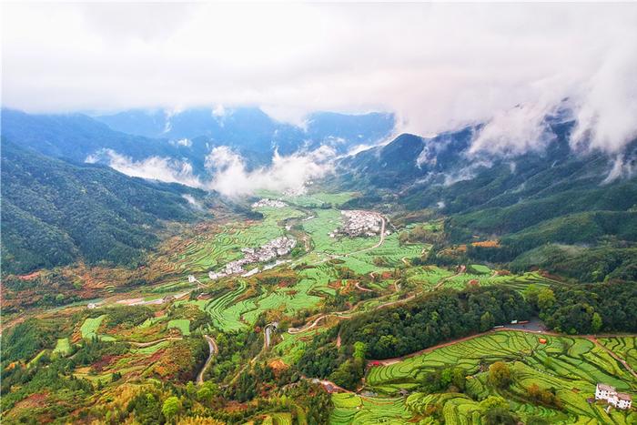 实拍中国最美乡村的春天,婺源万亩油菜花盛放，云海梯田天上人间