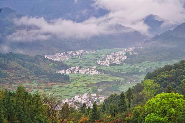 实拍中国最美乡村的春天,婺源万亩油菜花盛放，云海梯田天上人间