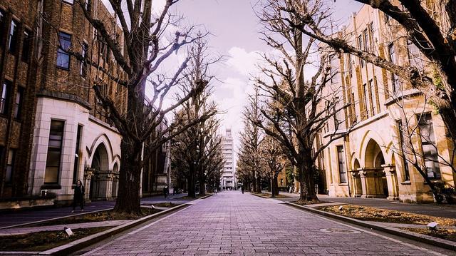 日本驻华大使馆：关于赴日与日本签证相关问题，最全面解答！