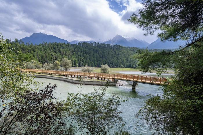 西藏林芝有片中国最美的森林之一，雪山密林，风景媲美瑞士