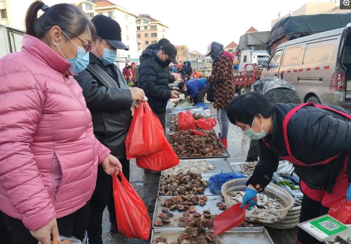 青岛早市开始营业，物美价廉的海鲜琳琅满目，10块二斤最受欢迎