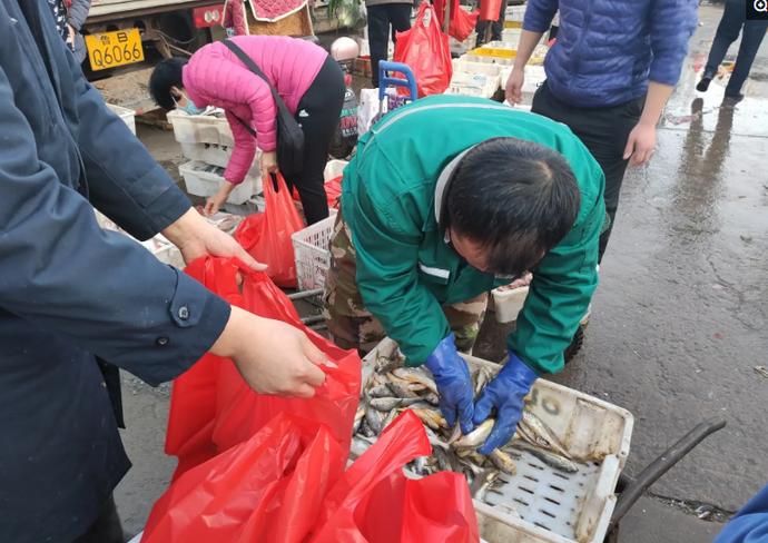 青岛早市开始营业，物美价廉的海鲜琳琅满目，10块二斤最受欢迎