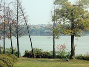 4w不到的新能源汽车，充电无忧，随走随停，每公里才6分钱