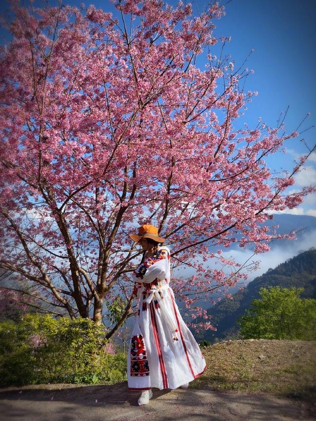 再次被Selina的重生震撼了！民族风长裙+大檐帽，樱花树下美成画