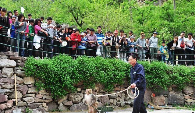 河南新乡最土的5A景区，被誉为“亚洲一绝”，为什么土呢？