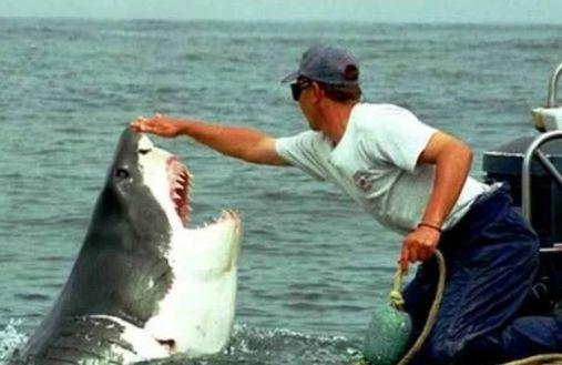 男子出海捕鱼救了一条受伤鲨鱼，为了报恩却让男子哭笑不得！