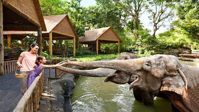 亚洲的一处“开放”动物园，不用笼子圈禁动物，而选择放养模式