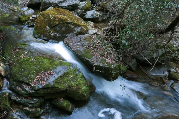 西安周边游推荐 开启踏青出游季 邀您4月免费游秦岭江山风景区