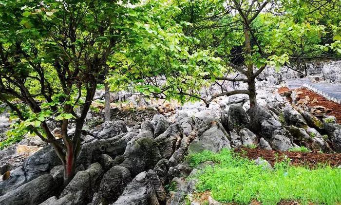 西安周边游推荐 开启踏青出游季 邀您4月免费游秦岭江山风景区