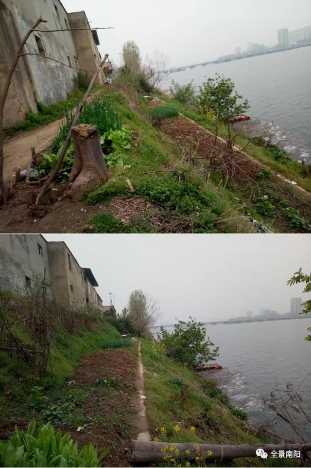 南阳段白河污染回访：垃圾依旧在，河堤扒扒种成菜