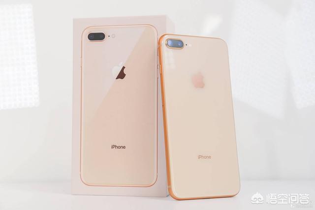 2019年还在用iPhone6，想换个手机，用惯了iOS系统，换哪款好点