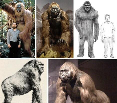 地球上10大远古巨兽, 第一巨猿高3米多, 第八溪龙在中国发现