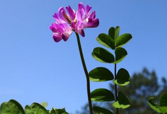 进入4月份，4属相有偏财星，好运一到，钱财会越来越多