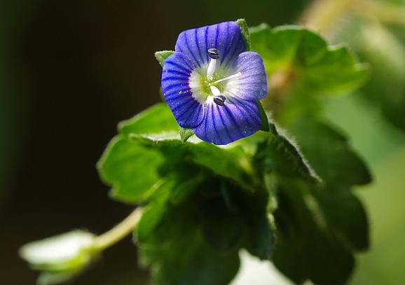 4月中旬开始，4属相财源广进，贵人指点，日子过得风生水起